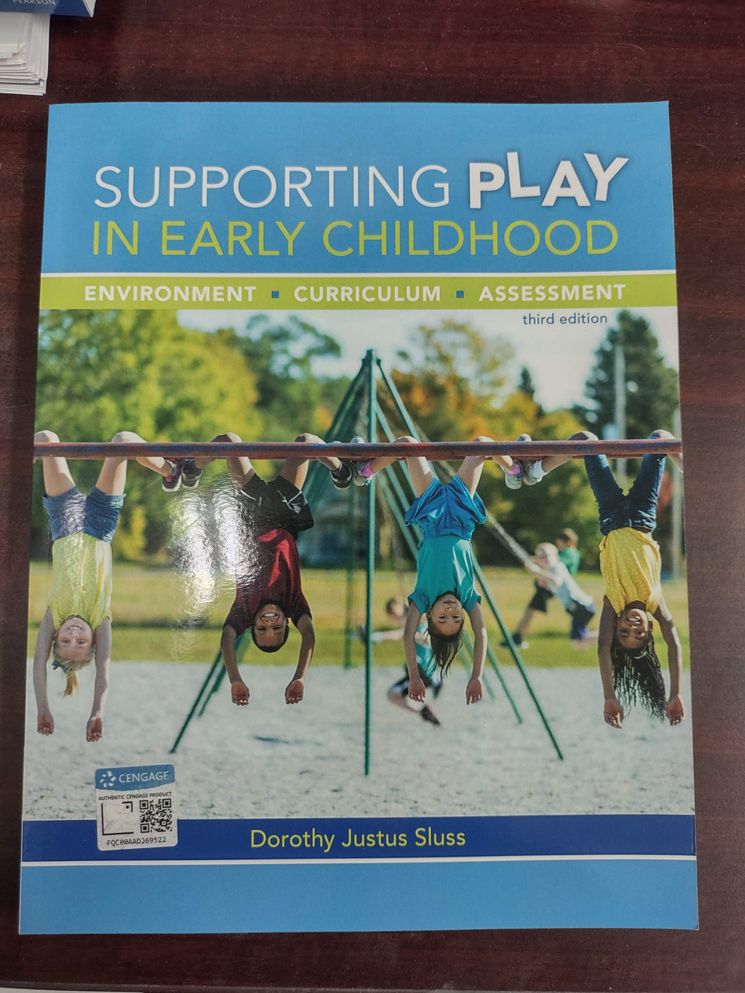 Supporting Play in Early Childhood Environment Curriculum